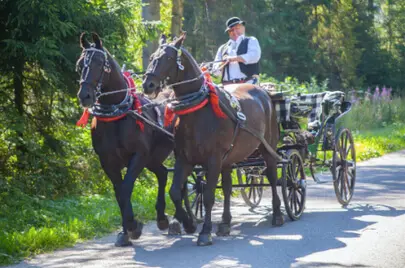 noclegi Małe Ciche z wyżwywieniem - zdjęcie ilustrujące