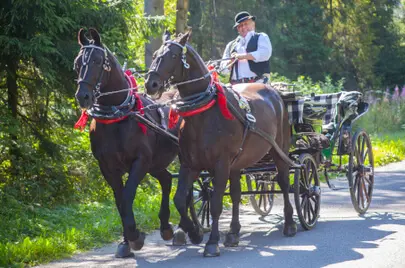 noclegi Małe Ciche z wyżwywieniem - zdjęcie ilustrujące